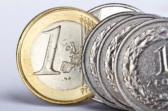 Polska waluta pod presją. Europejski Bank Centralny rozdaje karty