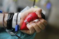 Dodatkowy dzień wolny za oddanie krwi lub jej składników może stanowić wyzwanie dla pracodawców