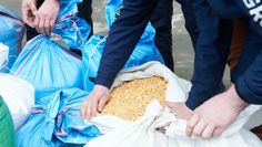"Zboże techniczne" z Ukrainy. "Nie ma takiego terminu. Ono stało tygodniami na torach. Tam się różne rzeczy działy"