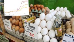 Inflacja nie odpuszcza. Oto dlaczego najnowsze dane niepokoją szczególnie