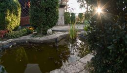 5 tys. zł za oszczędzanie wody. Czas na drugą edycję rządowego programu "Moja woda"