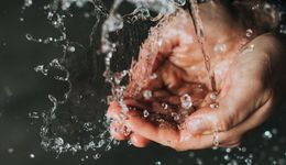 Jak zmniejszyć zużycie wody w gospodarstwie domowym?