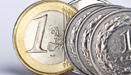 Kursy walut. Złoty zyskał po decyzji Europejskiego Banku Centralnego