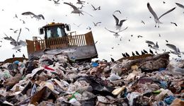 Śmieci z Niemiec trafiają do Polski. A tu nielegalnie płoną