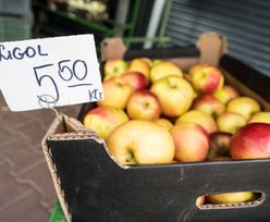 Sadownicy zdesperowani. "Jest załamanie na rynku". Sieci handlowe za jabłka płacą 1 zł. Sprzedają nawet 5 razy drożej