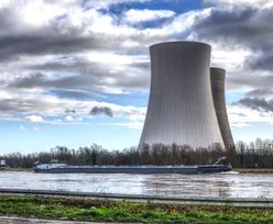 Naimski o rządowym programie: 6 reaktorów jądrowych