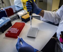Lek na Koronawirusa. Celon Pharma zakłada testy kliniczne 2022 roku