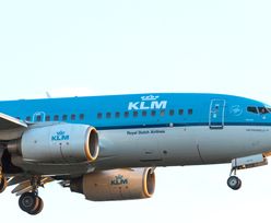 Pracownicy KLM pobili się z pasażerami na lotnisku. Holenderska linia lotnicza przeprasza