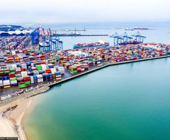 Polskie porty wspomogą Ukrainę. Wyślą zboża na światowe rynki