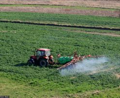 Kontrola żywności. Dopuszczalny poziom pestycydów przekroczony. Polska w europejskiej czołówce