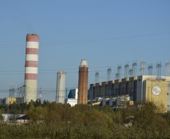 Enea nie musi zwracać 170 mln zł. Minister Klimatu umorzył postępowania
