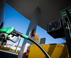 Rząd może tylko bezradnie obserwować rosnące ceny paliw. Ostatnia nadzieja w innej instytucji