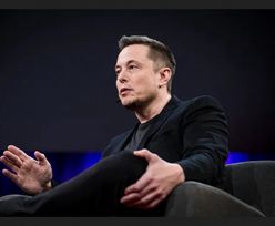 Inwestorzy zawiedzeni decyzją Elona Muska. Akcje Twittera dołują