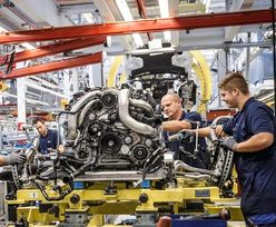 Polski przemysł nie dba o stagnację w Niemczech. Prognozy w górę