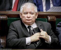 Sprzedaż Biedronki przekroczy 50 mld zł. Pomoże "piątka Kaczyńskiego"