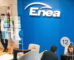 Enea podsumowała kwartał. Zarobiła 385 mln zł