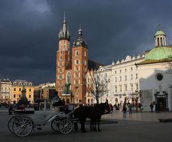 Wyniki wyborów samorządowych w Krakowie