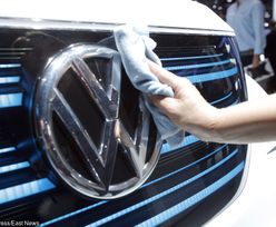 Volkswagen Poznań chce produkować nowe auto. To kamper California XXL