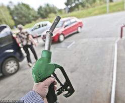 Ceny paliw w długie weekendy listopadowe. Zatankujemy więcej niż przed rokiem