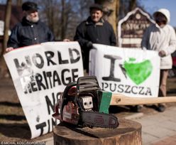 Ekolodzy chcą natychmiastowego wstrzymania wycinki w Puszczy Białowieskiej. Dyplomata: Polsce grożą kary