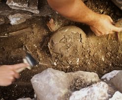 Zbiorowa mogiła we Włodzimierzu Wołyńskim. Znaleziono szczątki ok. 300 osób