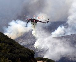 Pożary w USA. Walka w Kalifornii ma potrwać jeszcze ponad tydzień