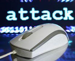 Europol rozbił siatkę oszustów komputerowych