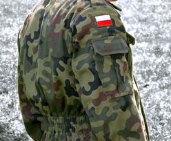 Lubawa ma umowę z polskim Inspektoratem Uzbrojenia. Akcje spółki mocno w górę