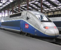 Siemens przejmie producenta TGV?