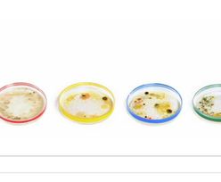 Julius Richard Petri - 161. rocznica urodzin w Google Doodle