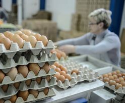 Za średnią pensję kupimy ponad 7,6 tysiąca jaj. Święta będą bogate