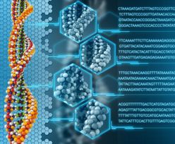 IPN zainteresowanie akcją zbierania DNA
