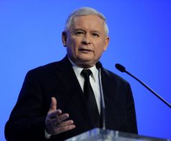 Jarosław Kaczyński zostawił puste miejsce dla Ewy Kopacz
