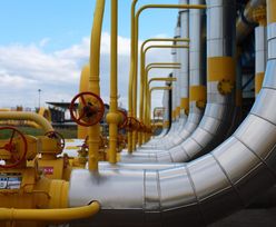 Niemcy zgadzają się na większy dostęp Gazpromu do gazociągu Opal