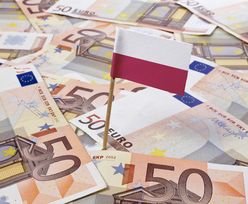 Wprowadzenie euro w Polsce. Ponad połowa badanych uważa, że przyjęcie unijnej waluty będzie złe