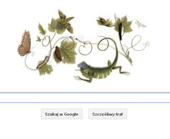 Maria Sibylla Merian, dzisiejsze Google Doodle