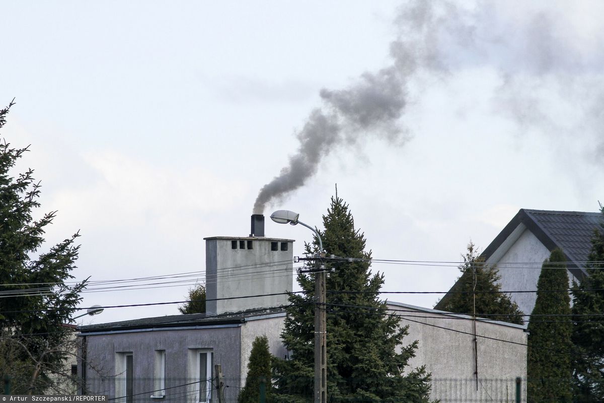 Poles will burn with wet wood.  “The air will be terrible”