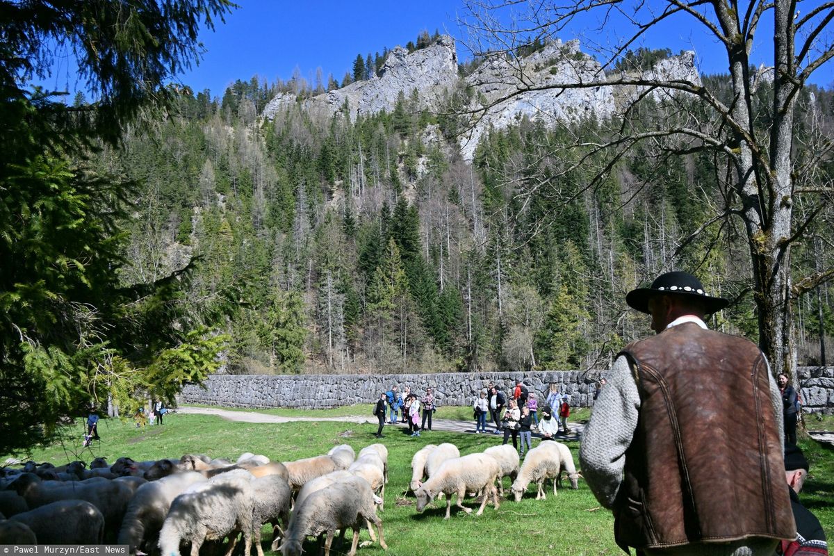 Un turist a înregistrat un munteni ieșind din ascunzătoare.  Videoclipul a stârnit indignare