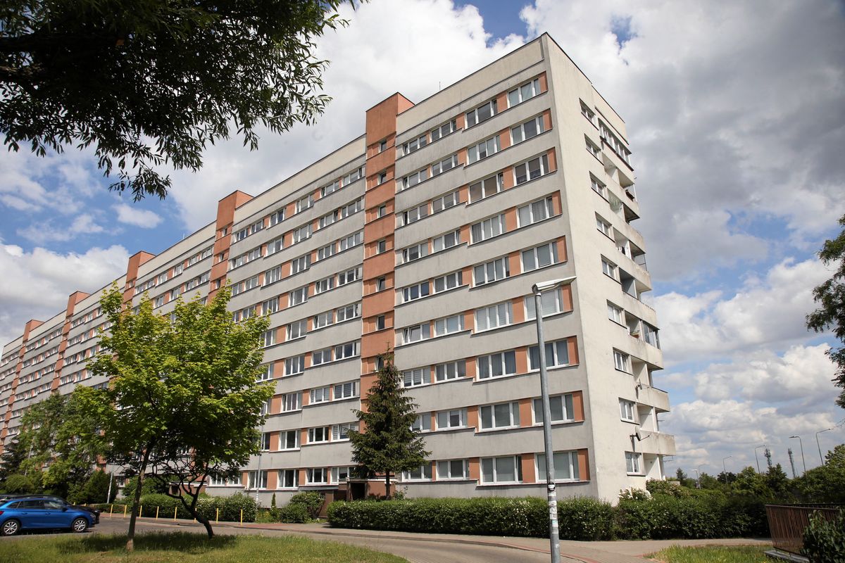 Rental Market Report Price Differences and Structure of Advertisements