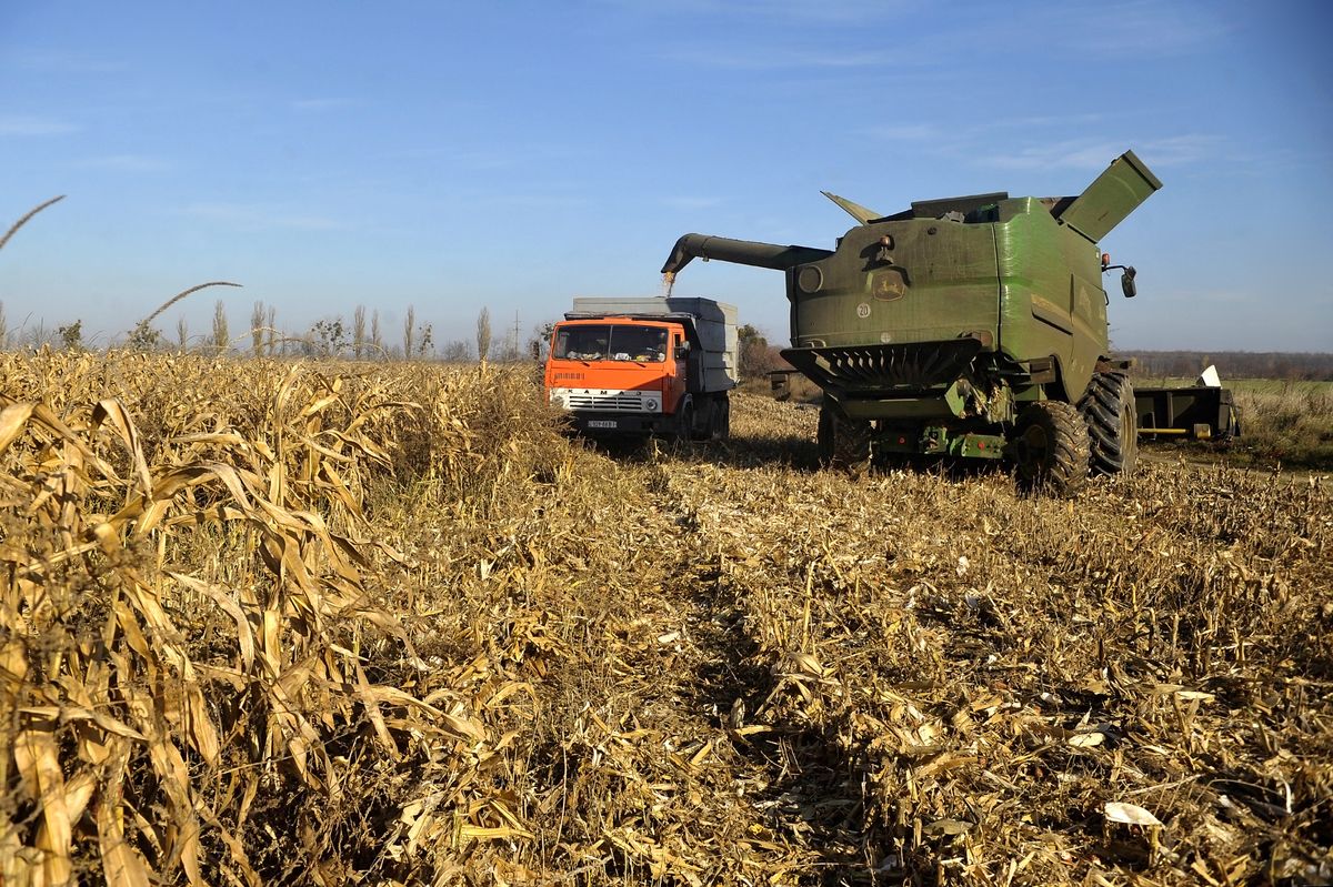 România vrea să interzică importurile din Ucraina.  Guvernul trimite cererea la Bruxelles