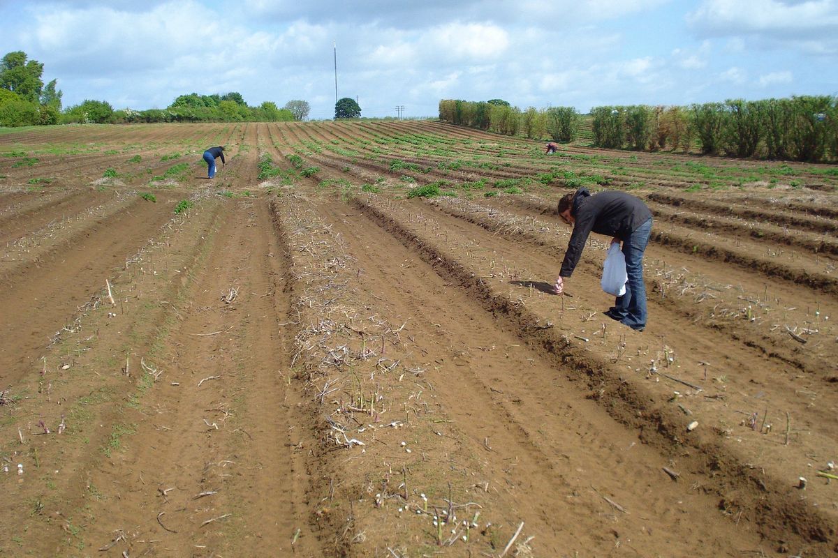 Holdingul Național de Alimente.  Fermierii așteaptă amânarea proiectului