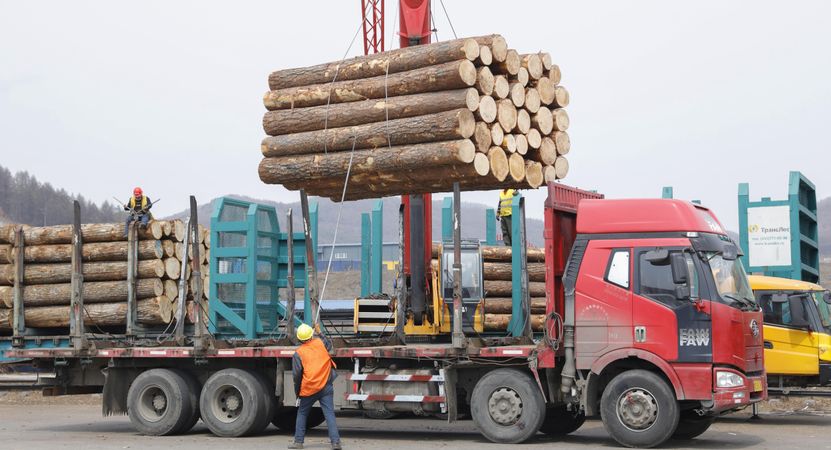 Wysyłamy do Chin rekordowe ilości drewna. "Wszyscy na tym tracą"