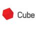 Cube Group Interaktywna Agencja Roku 2009