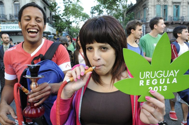 Urugwaj zalegalizował marihuanę