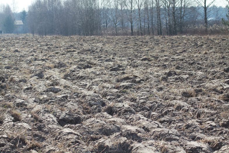 Ziemia rolna w Polsce podrożała o 5,8 proc. w ciagu roku.