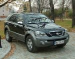 Kia Sorento 2.5 CRDi Executive - zwierzę udomowione