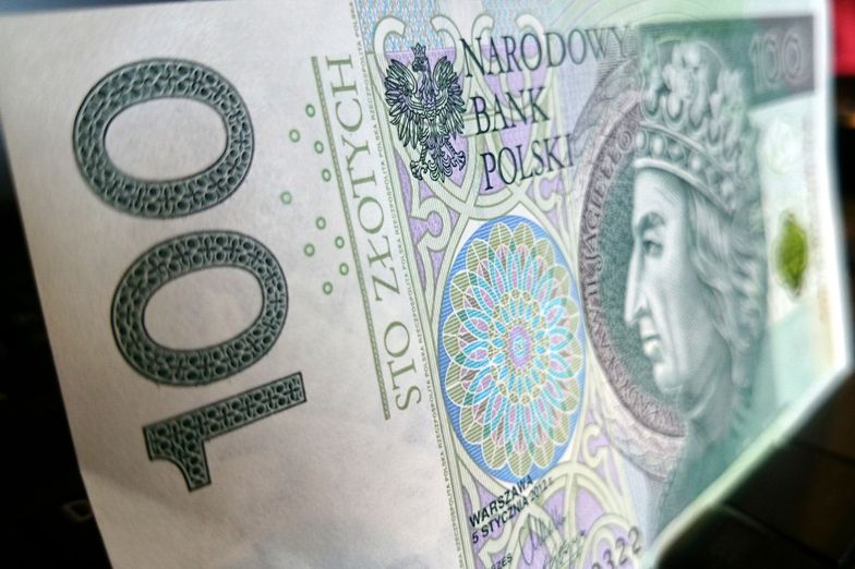 Wynagrodzenia w Polsce. "Pensje muszą iść w górę, jeśli chcemy zwiększyć popyt wewnętrzny"