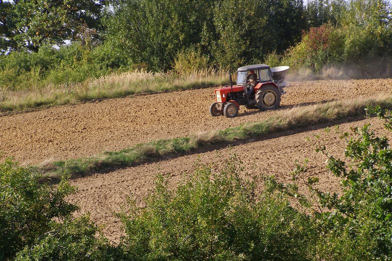 Ziemia od państwa jest tańsza, ale... najczęściej jest gorszej jakości. Lepsze partie trafiają na dzierżawę