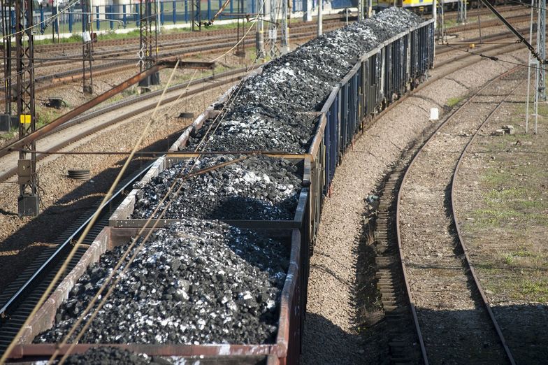 600 tys. ton węgla. O tyle urósł w ciągu szcześciu miesięcy import tego surowca do Polski