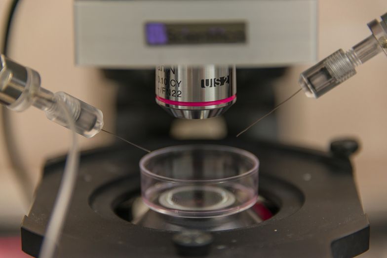 In vitro jest ogromną szansą dla par cierpiących na bezpłodność
